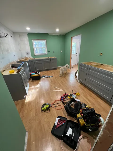 Full Kitchen Gut and Remodel in time for the Holidays. I'm tired. 