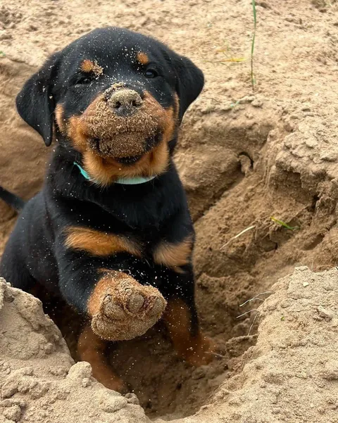 It's his first day at the beach 🥰
