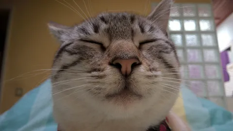 When the bar lady calls you guapo