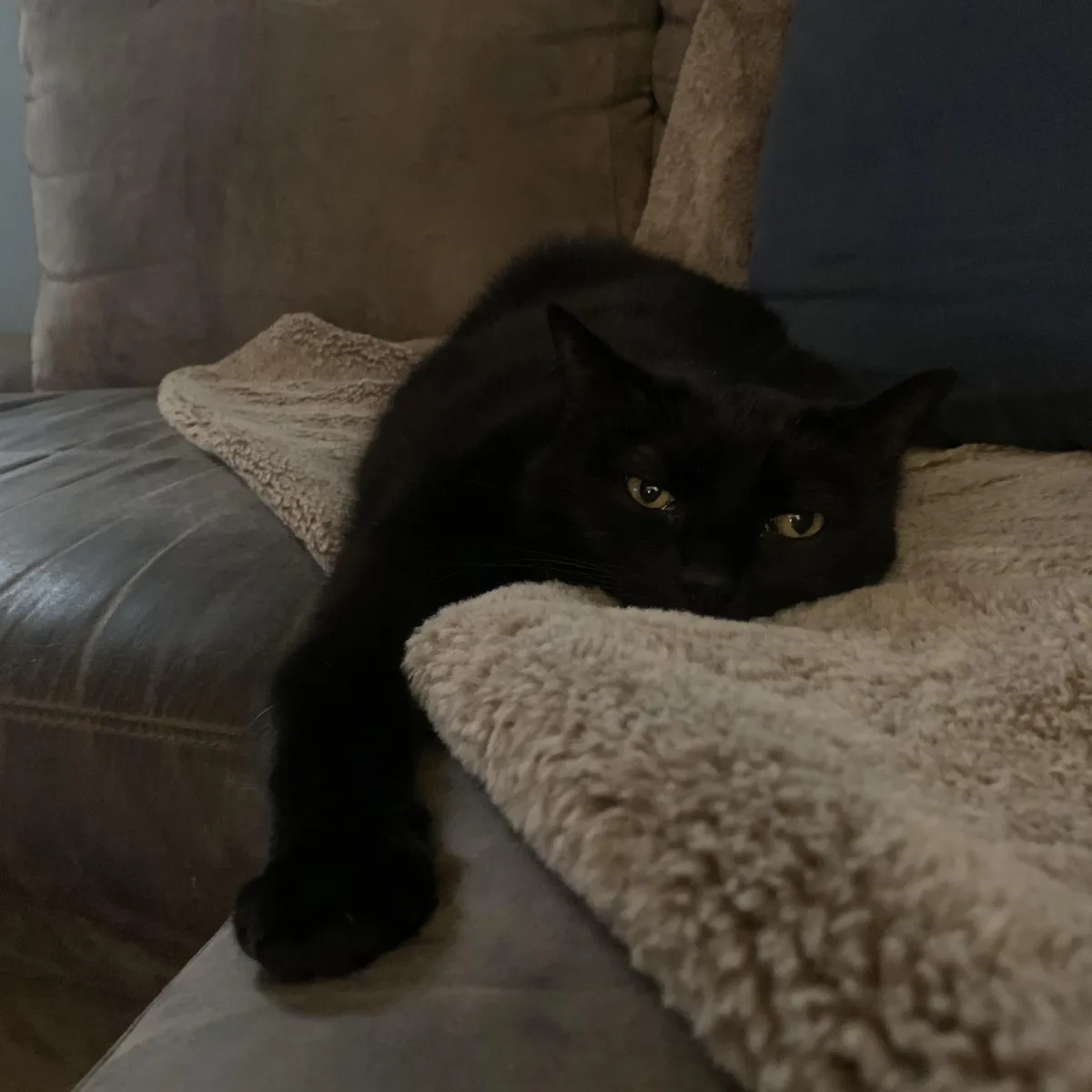 my sweet girl turned 15 today!