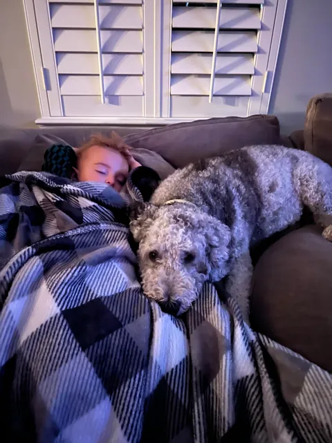 My wife is an ER nurse. If kids need an IV, she shows photos of our pup to calm them down. The 1st is their favorite