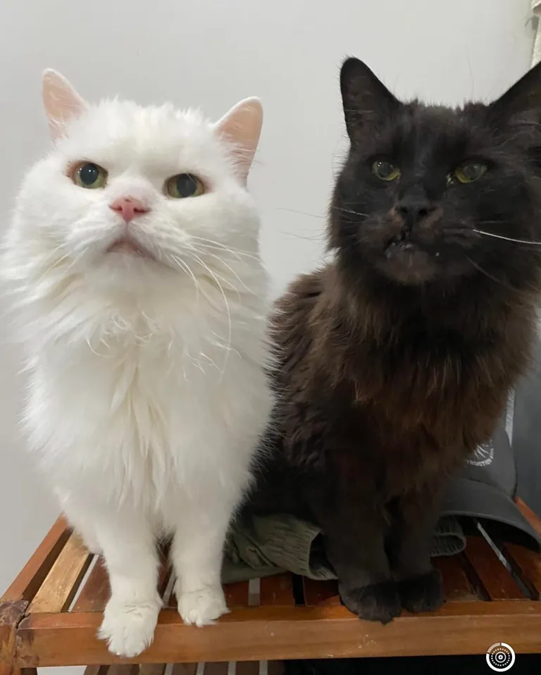 My Void with his Cloud 