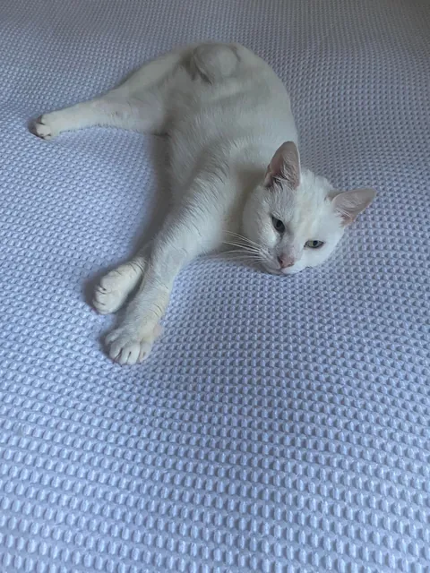 I hope my girl can brighten up someone’s day 🌞