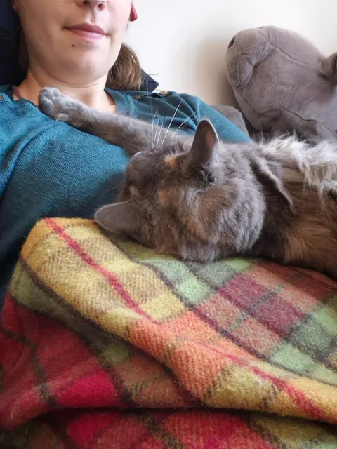 My cat is one of my favourite people