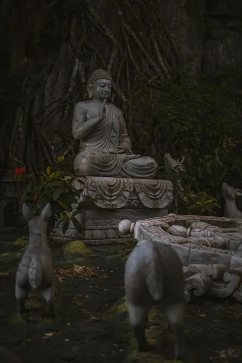 My favorite shots from my trip around Vietnam