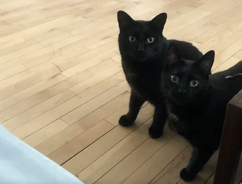 I opened a cheese string...