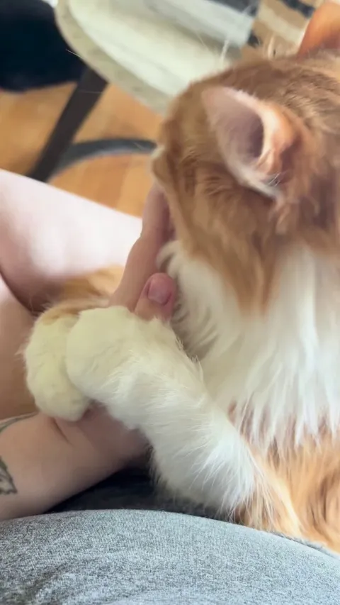 What is this little guy doing?