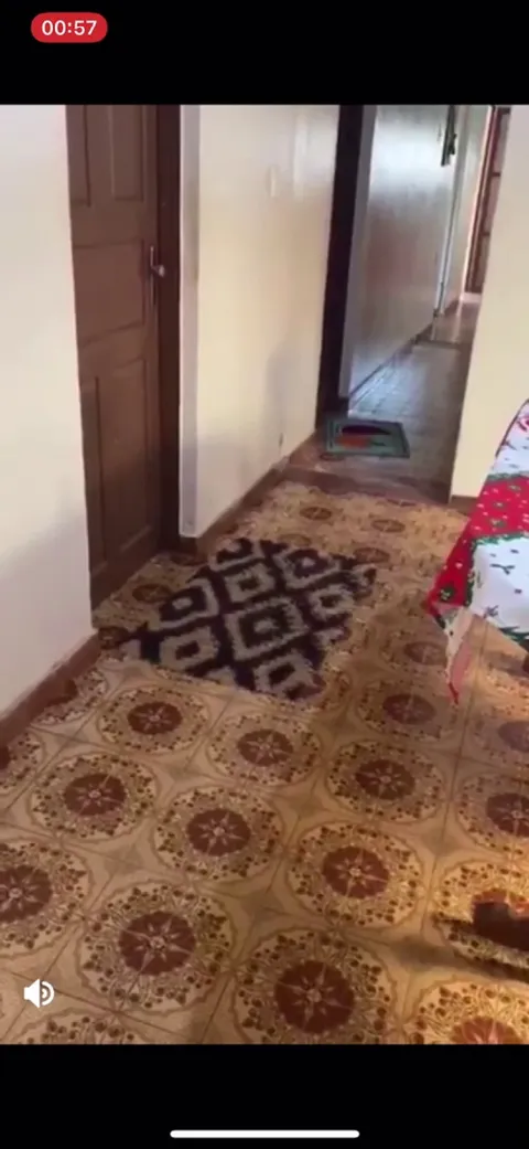 Dog removes rugs whenever Wheelchair bound Grandma visits