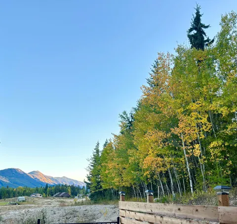 My backyard in the fall is my favourite place on earth 💗