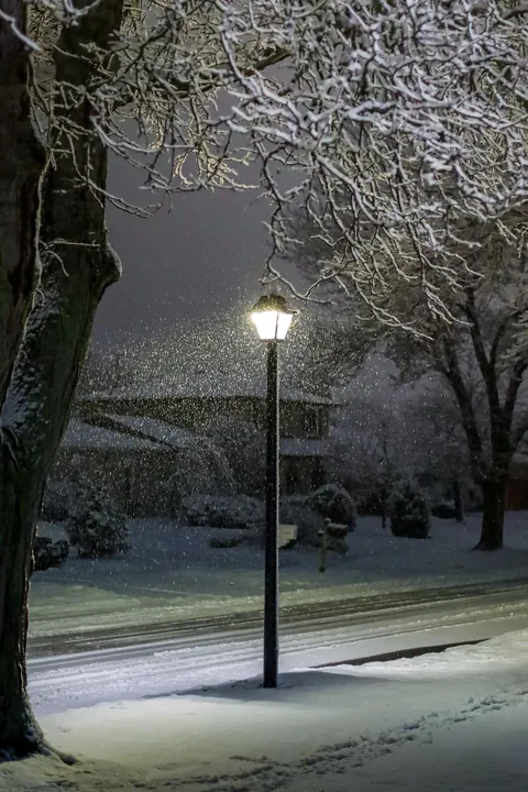 Snowy Night