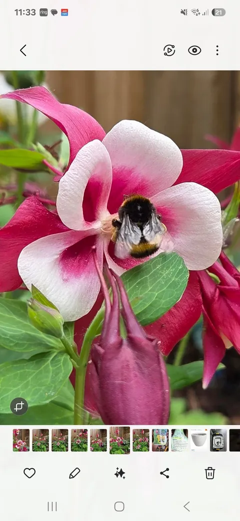 For the lovely soul who stole my photo, here are more.