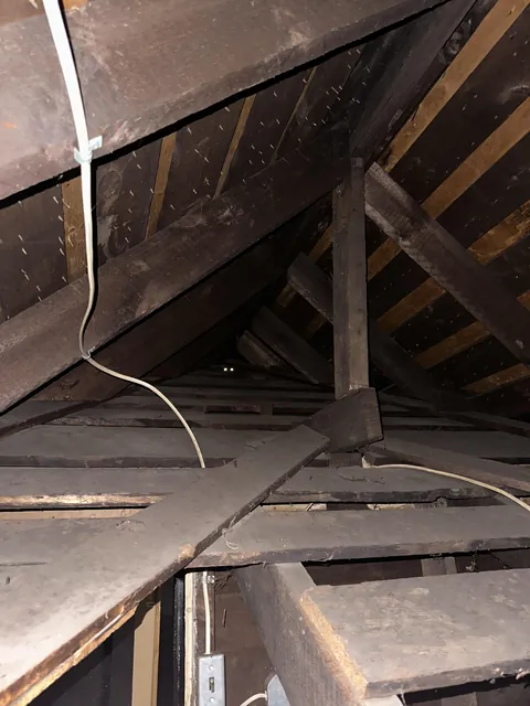 Found out where my little girl had been fucking off to when she needs some alone time