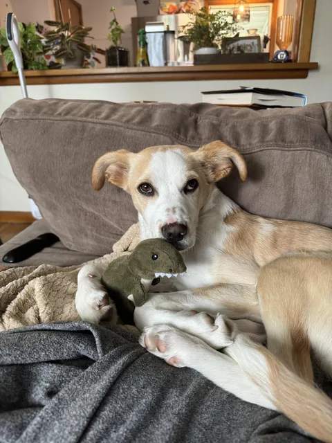 Everyone tells me how cute. Am I biased or is she really that cute?