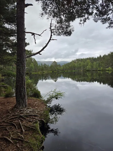 Scottish Highlands - July 2024