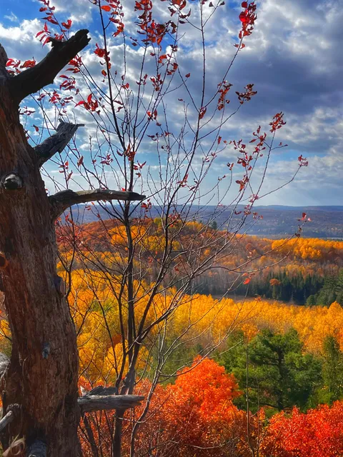 Blueberry Mountain, Ontario Canada [3024x4032] (OC)
