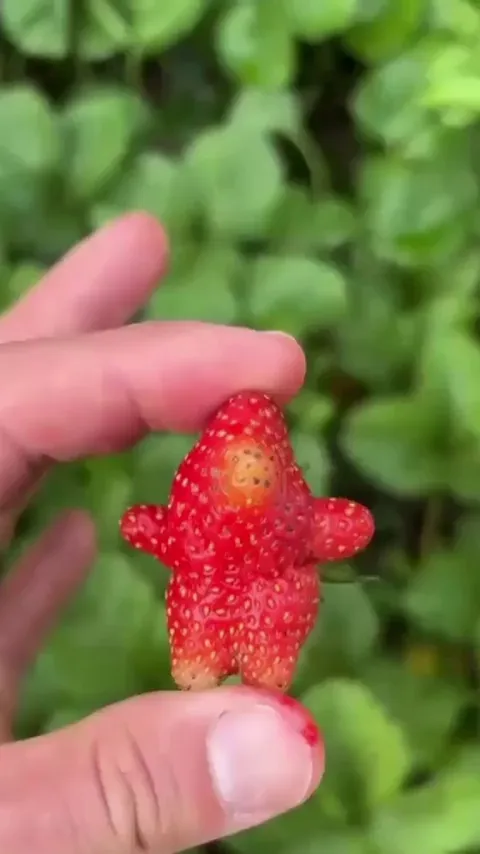 Guys, I think I found a Pokémon…