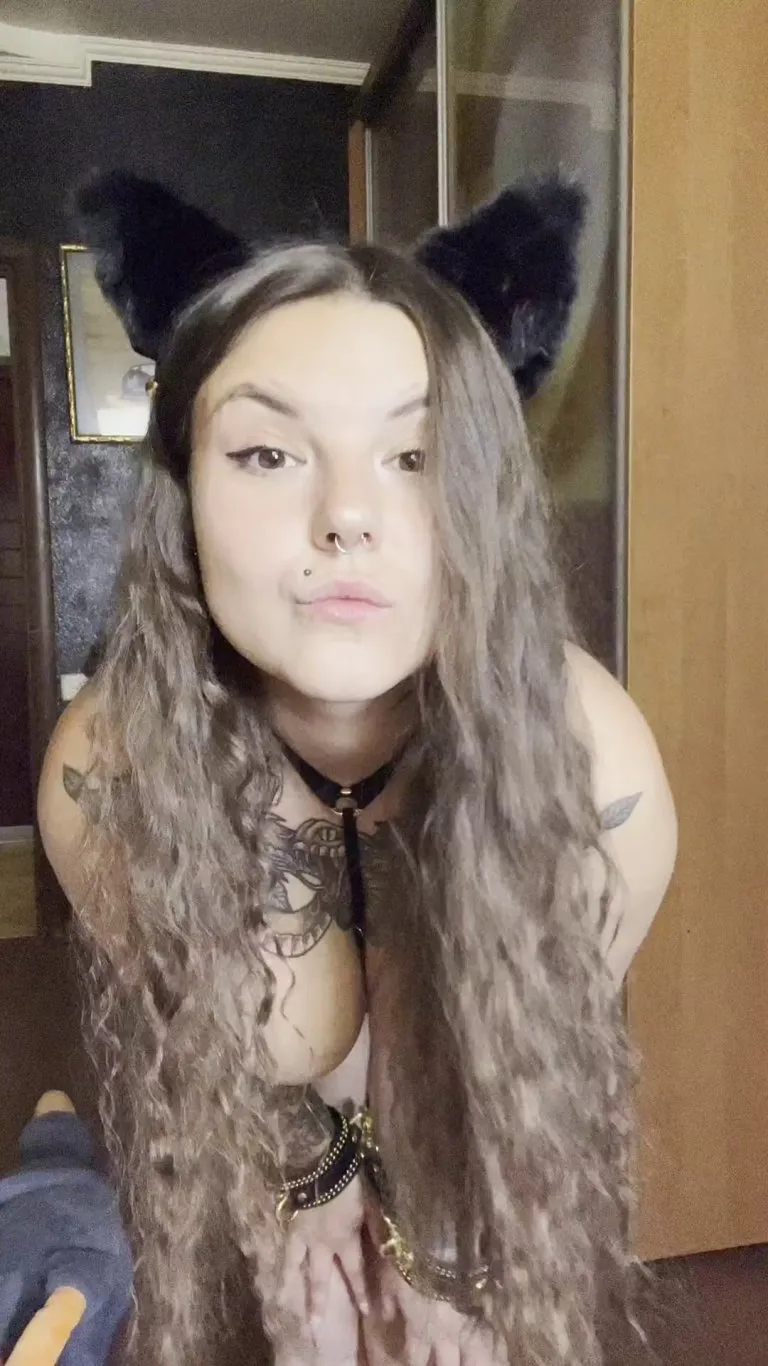 Your kitty learned to present herself when you come home...Gimme the reward milk? [F]