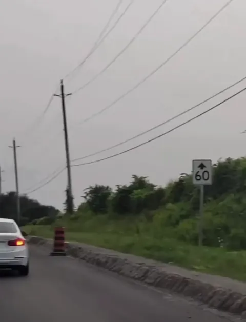 No one is above the law