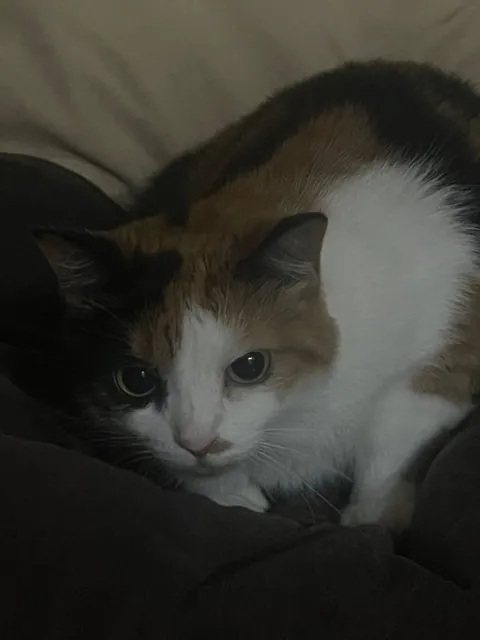 I found her on the street