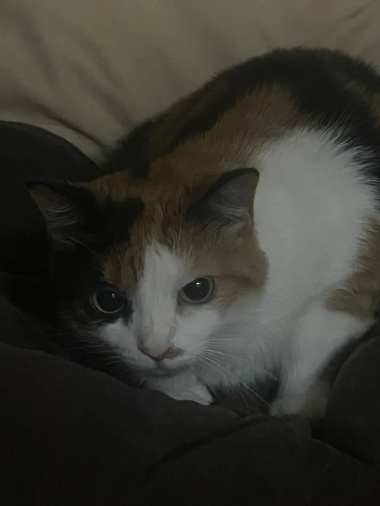 I found her on the street