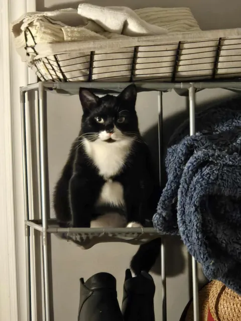 People like my Boi sprig, so i decided to show more. Enjoy