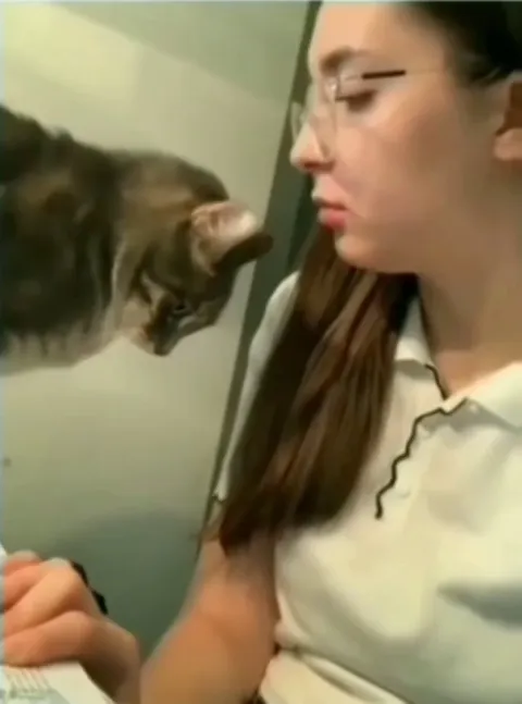 Wait, that’s illegal!