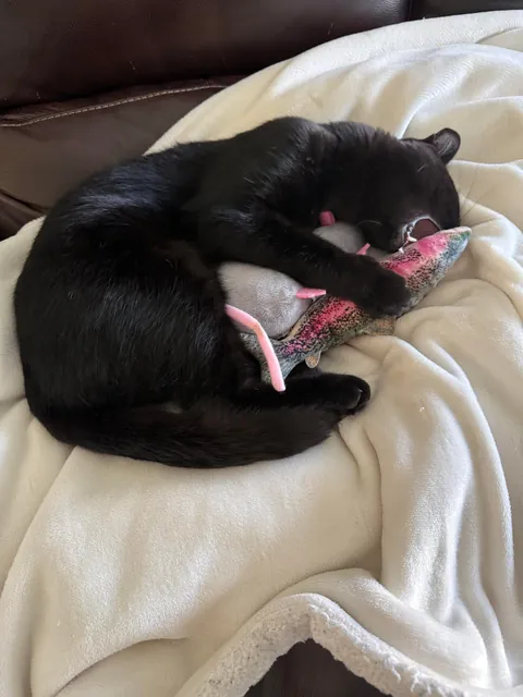 Soup Update: HE IS AN ADULT!!!