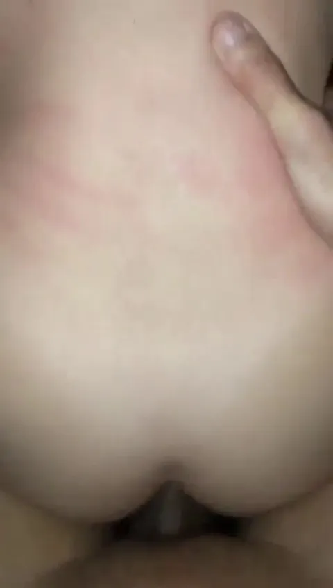 Doggy to look out below !