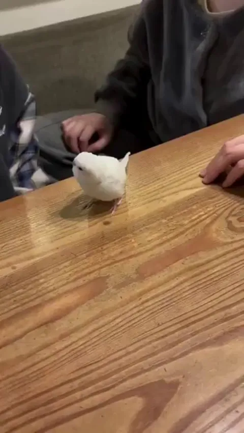 I don't know what we're doing, but I'm in