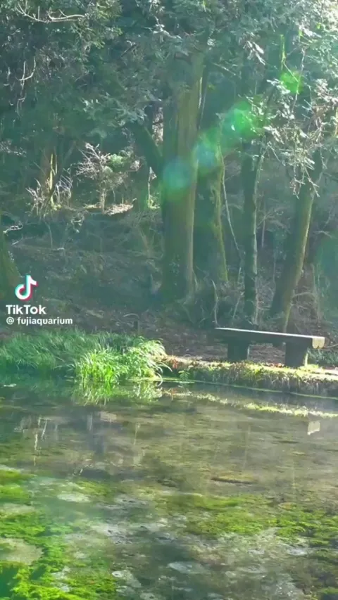 🔥Rush of spring water