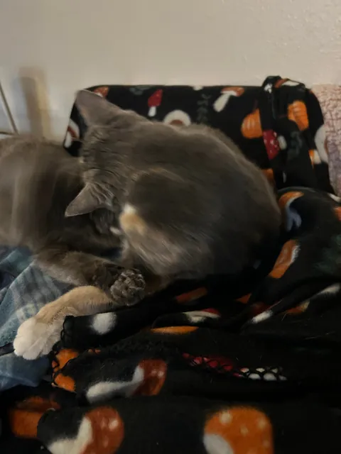 Sisters being sisters