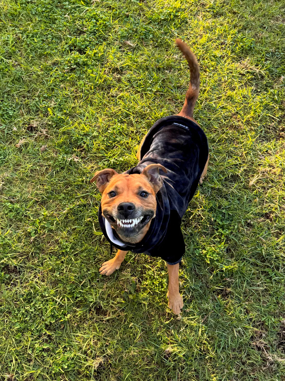 Hector through the years. Which is your favourite photo