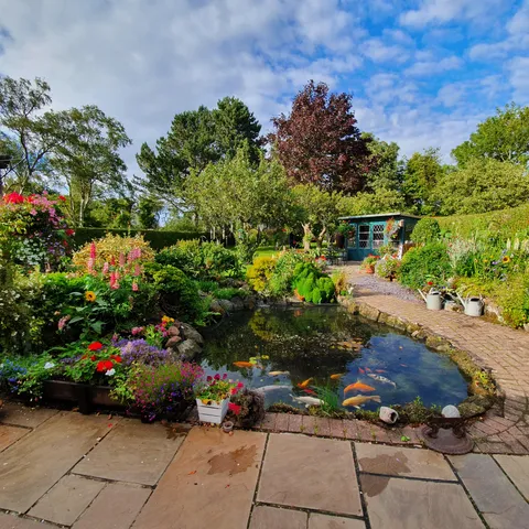 Just one very small part of my mum and dads garden. They put their heart and soul into making it a relaxing, beautiful place.