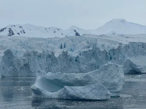 I just got back from Antarctica. It was life changing.