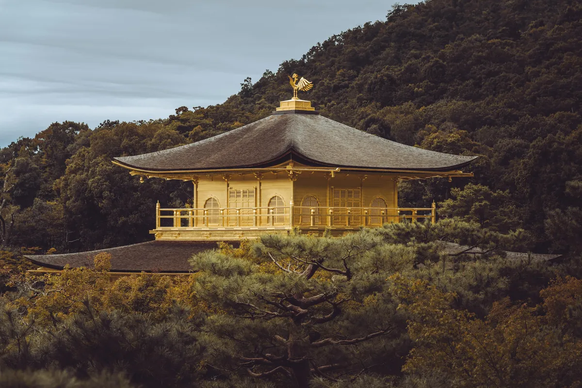 An incredible two weeks in Japan!