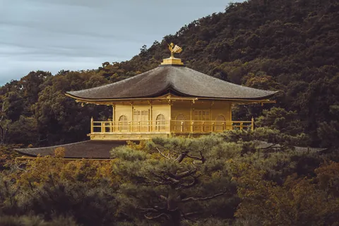 An incredible two weeks in Japan!