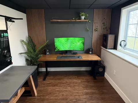 My new basement office