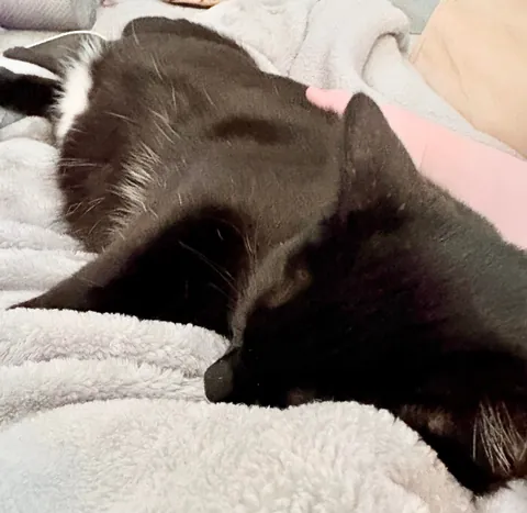Why won’t he cuddle me anymore?