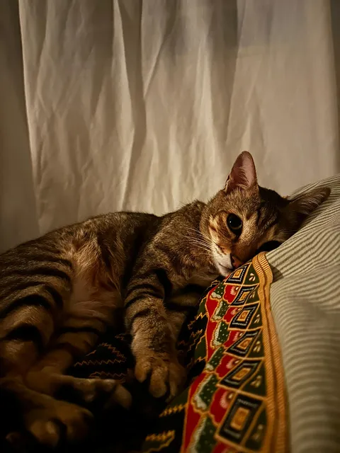 Caught him staring while I was asleep