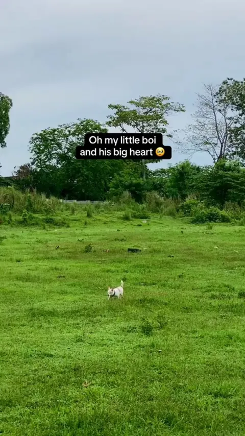 so sweet and so gentle