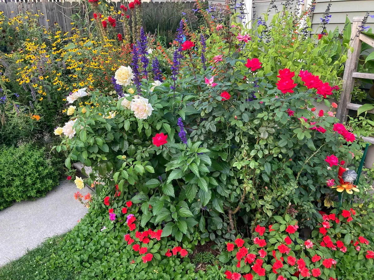Flowers put on a final show in these last weeks of summer that already feel like fall.