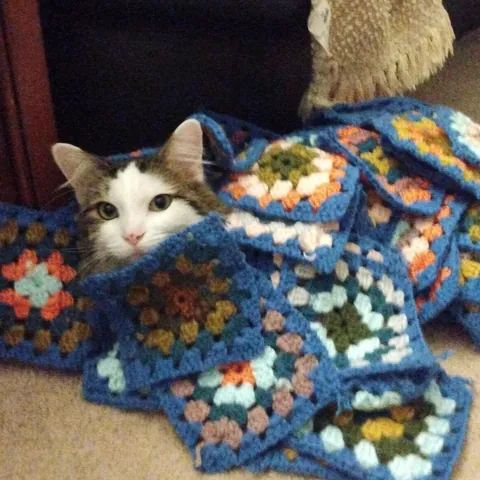 That's what happens when you move in with grandma