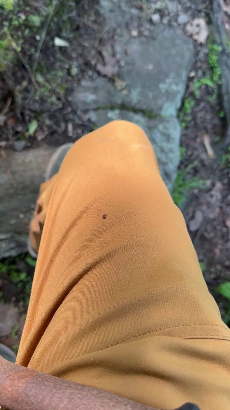 Permethrin treated clothes