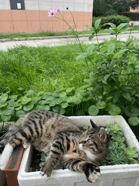 You’re just too cute to move... I’ll let you nap there for a while. 😂