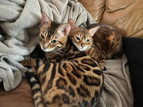 Bby girl and bby boi