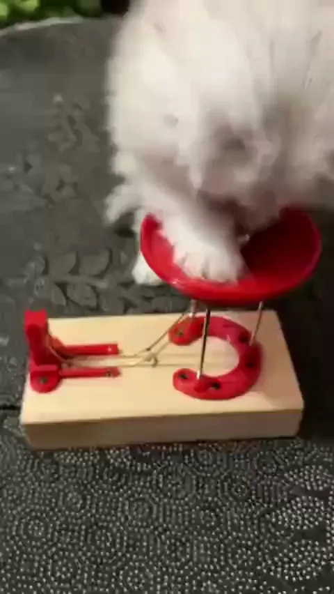 "What kind of sorcery is this?!"