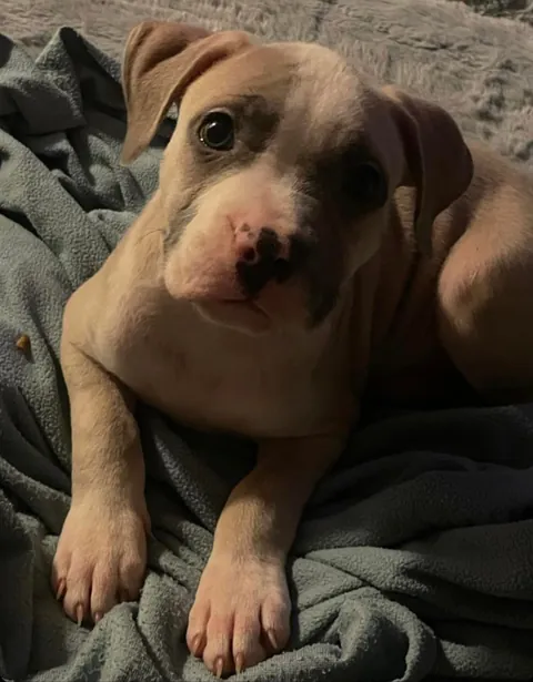 Please rate my pretty girl 1-10