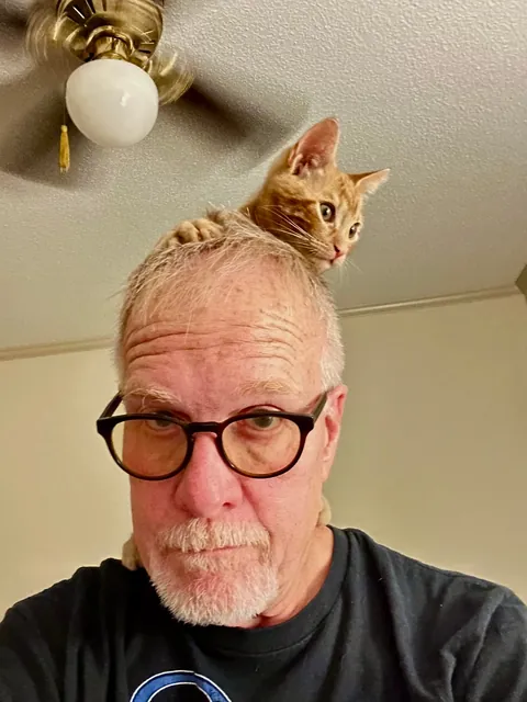 Found little Oliver in a propane exchange cabinet at work.