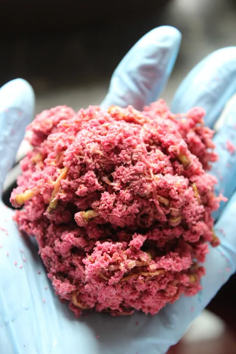 I dyed Easter Eggs using seeds from our cottonwood tree!They always stain our deck blue so I decided to mix them with vinegar and see what happened and it worked!! The best egg was an overnight soak with a little baking soda added too.