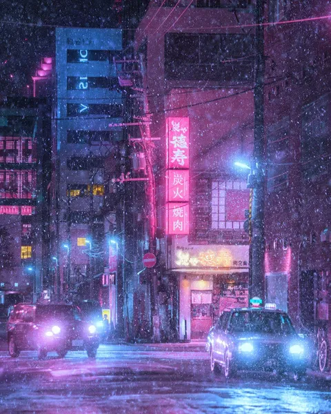Snowy night in Hokkaido (Northern Japan)